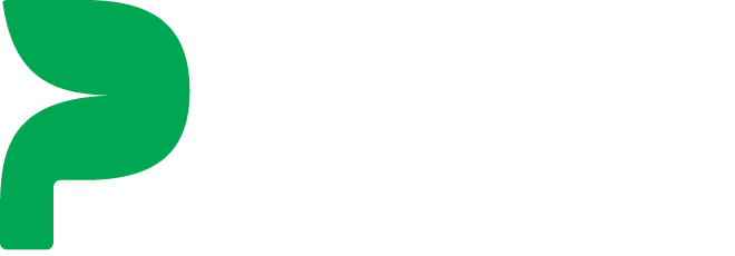 Praskills Academy Logo